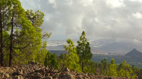 Nature landscape mountains forest clouds Tenerife Canary islands panning 스톡 동영상 105773617