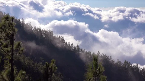Nature landscape mountains forest clouds Tenerife Canary islands panning 스톡 동영상 105776015