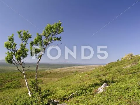 Nature landscape Stock Photos