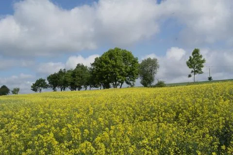 Nature landscape Foto stock