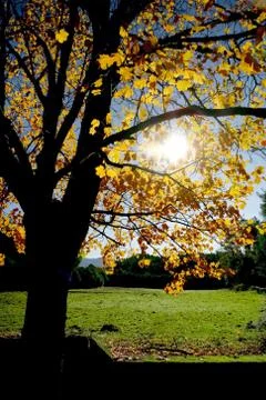 Nature landscape Stock Photos