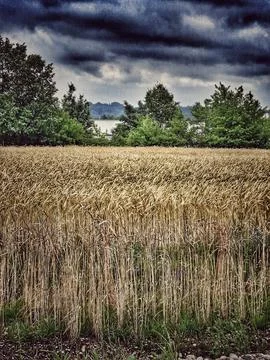 Nature landscape Stock Photos