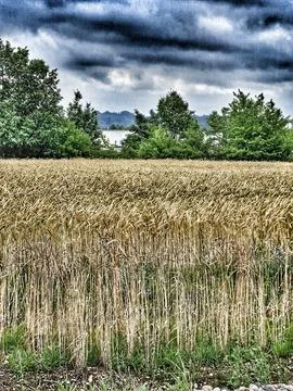 Nature landscape Stock Photos