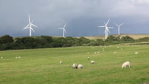 Nature Landscape With Sheep in the Field and Wind Turbines Against a Cloudy Sky Stock Footage 248450436