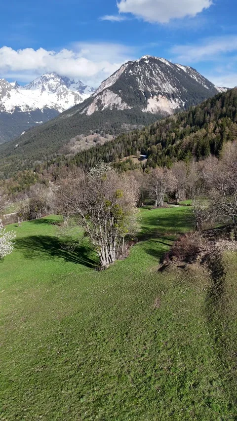 Nature landscape by spring with blossoming trees and snowy mountains Stock Footage 334137102