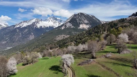 Nature landscape by spring with blossoming trees Stock Footage 334294455