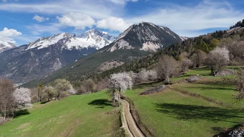 Nature landscape by spring with blossoming trees Stock Footage 334296672