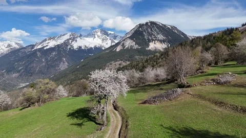 Nature landscape by spring with blossoming trees Stock Footage 334296929