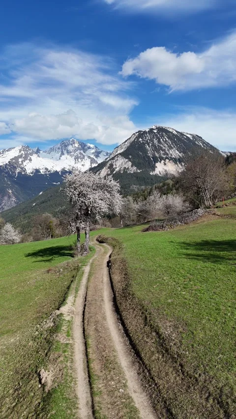 Nature landscape by spring with blossoming trees Stock Footage 334297085