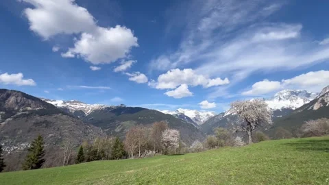 Nature landscape by spring with blossoming trees and snowy mountains Stock Footage 334444202