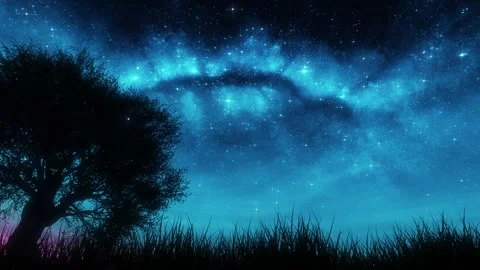 Nature Landscape under a Blue Starry Sky Loop Background Stock Footage