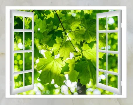 Nature landscape with  view through  window Stock-Illustration
