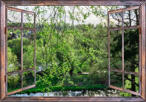 Nature landscape with a view through a window with curtains Фото