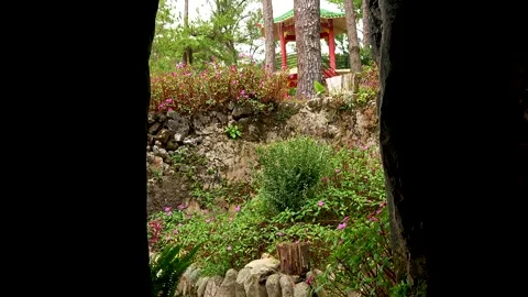 Nature Landscape Viewed from Inside Cave Entrance with Dramatic Light Stock Footage 329011272