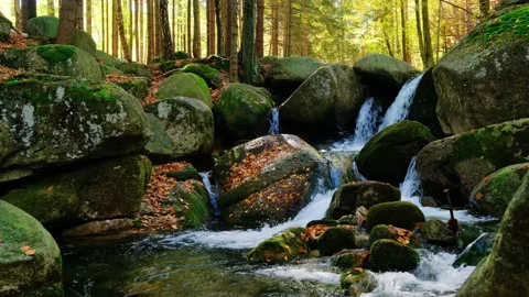 Nature landscape. Waterfall. Beautiful fall mountain wild Forest waterfall Stock Footage 219645059