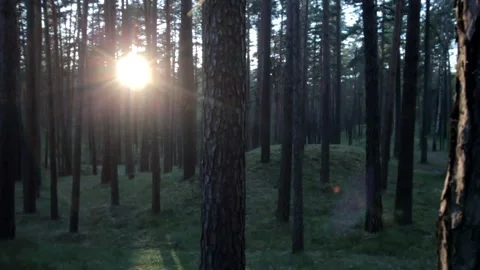 Nature of Latvia Video stock 287698502