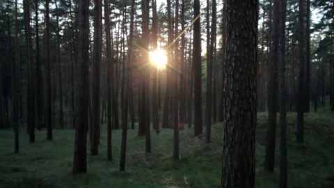 Nature of Latvia Video stock 287698507