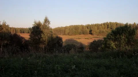 Nature of Latvia Video stock 287754602