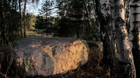 Nature of Latvia Video stock 287754604