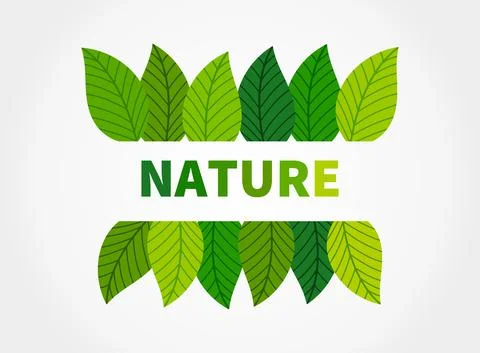 Nature leaf border. Vector illustration. Stock Illustration