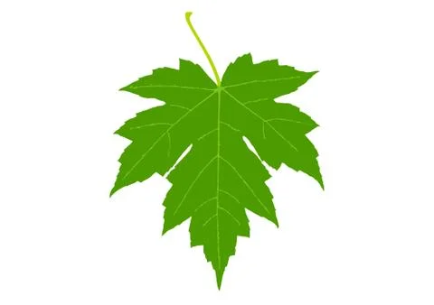 Nature leaf logo design Stock Illustration