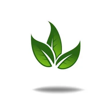 Nature leaf logo illustration vector icon on white background Stock Illustration