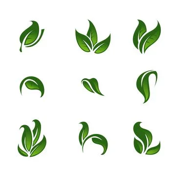 Nature leaf logo illustration vector icon on white background Stock Illustration