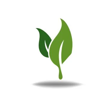 Nature leaf logo illustration vector icon on white background Stock Illustration
