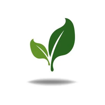 Nature leaf logo illustration vector icon on white background Stock Illustration