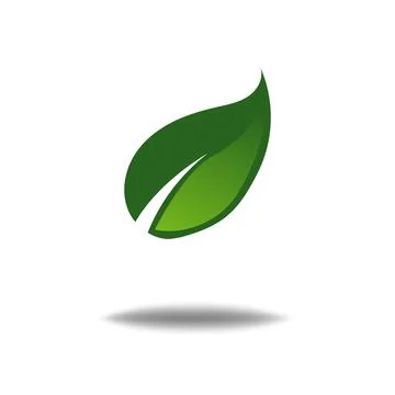 Nature leaf logo illustration vector icon on white background Illustrazione stock