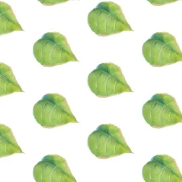Nature leaf pattern background.Pattern organic plant design 스톡 일러스트