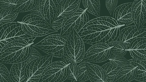 Nature leaves background. Skeleton leaf pattern. Floral outline design for .. Stock Illustration