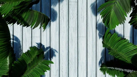 Nature leaves vertical frame background 4k Stock Footage 259868109