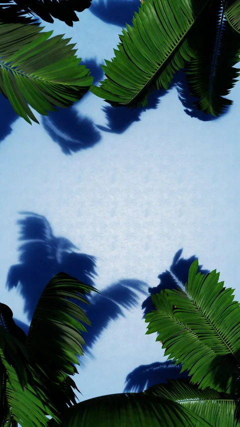 Nature leaves vertical frame background 4k Stock Footage 260121228