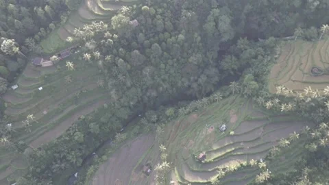 Nature Lemukih vilage Video stock 221836086