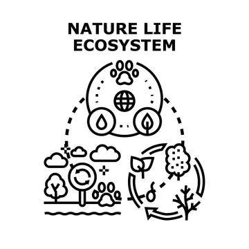 Nature life ecosystem cycle flat concept illustration Stock Illustration