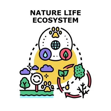 Nature life ecosystem cycle flat concept illustration Stock Illustration