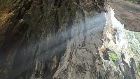 Nature light Stock Footage 286917105