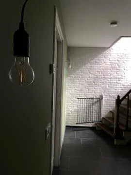 Nature light 스톡 사진