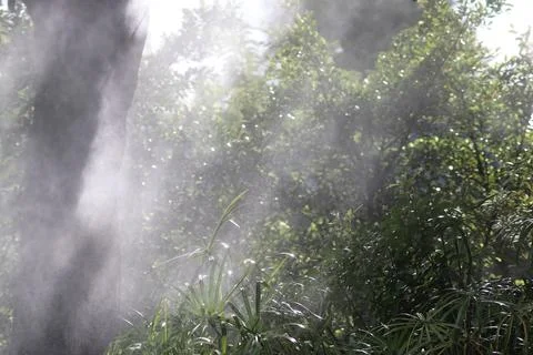 Nature light shine through mist with garden background Stock Photos