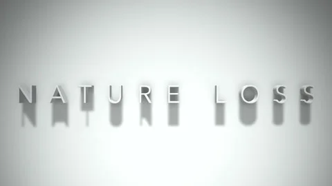 Nature loss 3D title animation with shadows on a white background Stock Footage 297797337
