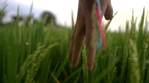 Nature love concept Stock Footage 120791848