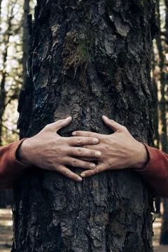 Nature lover hugging trunk tree with green musk in tropical woods forest. G.. Stock Photos