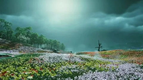 Nature Lovers Stock Footage 183434946