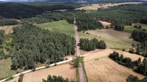 Nature in lozère Stock Footage 247075503