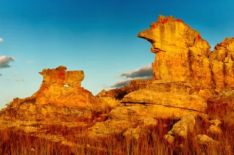 Nature of Madagascar Stock Photos