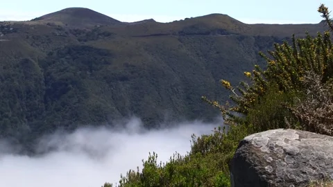 Nature of Madeira Stock Footage 142130216