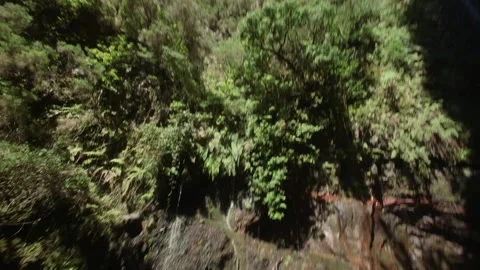 Nature in Madeira Stock Footage 142130237
