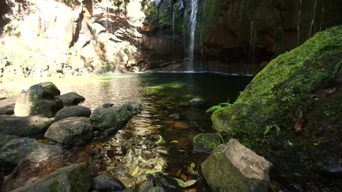 Nature in Madeira Stock Footage 142130241
