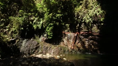 Nature of Madeira Stock Footage 142130259